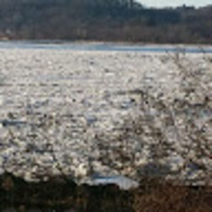 Meet your Posher, Cornelia